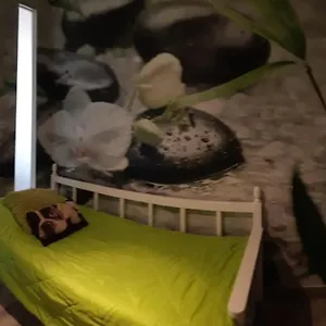 Apartamento Club Paraiso, Playa Paraíso